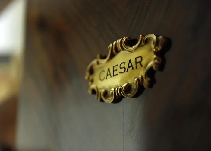 Oda ve Kahvaltı Houspitality Caesar 4*
